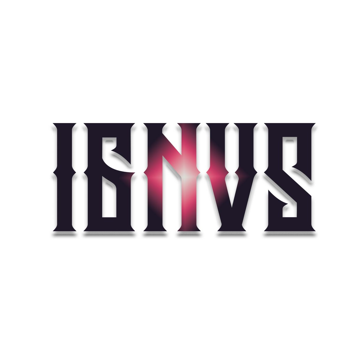 IGNVS 